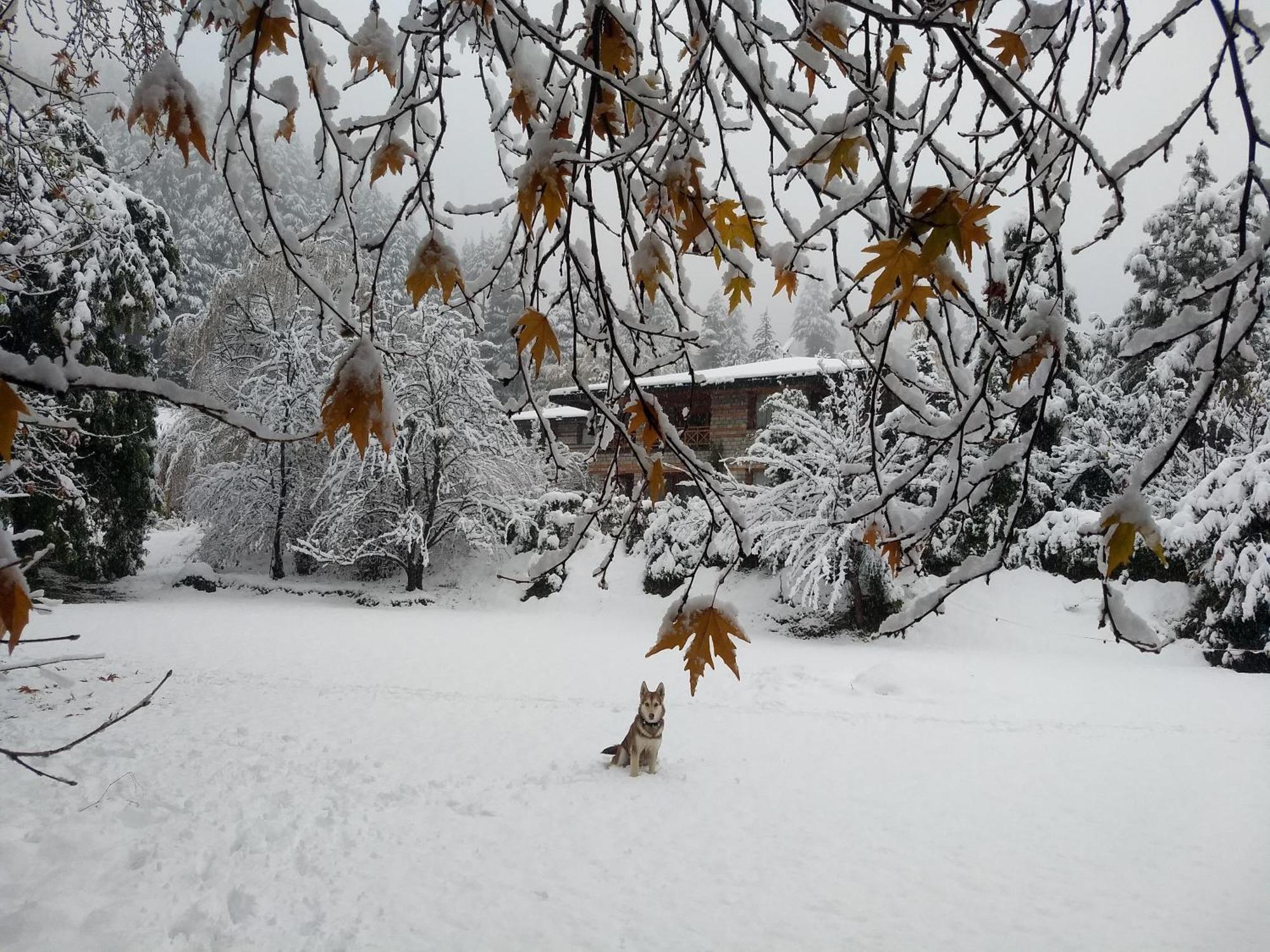 Banon Resorts Manāli Zewnętrze zdjęcie