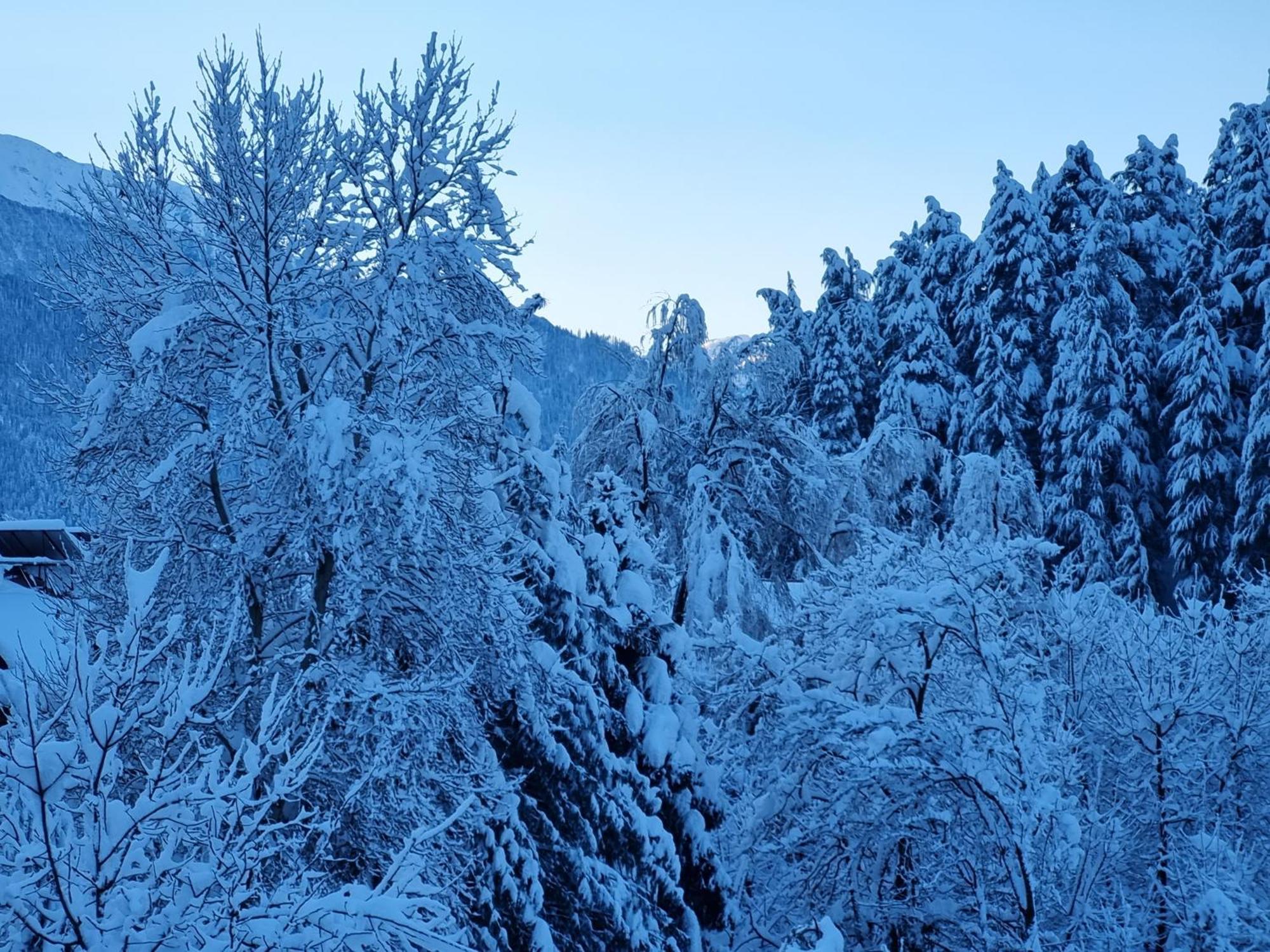 Banon Resorts Manāli Zewnętrze zdjęcie